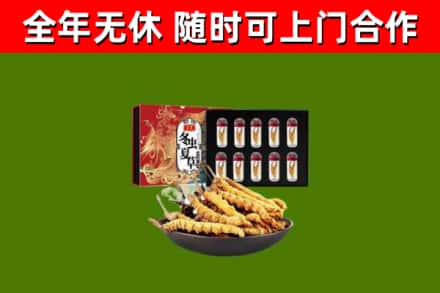 阜新回收冬虫夏草价格